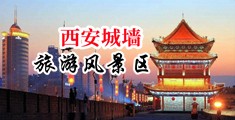 入逼逼中国陕西-西安城墙旅游风景区